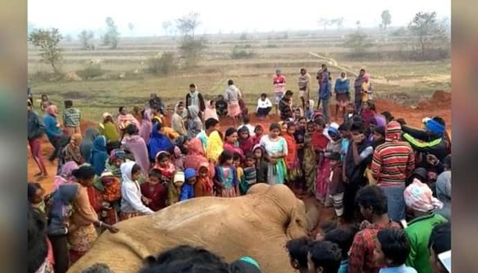 ফের ট্রেনের ধাক্কায় হাতির মৃত্যু,  ঘটনায় মিশ্র প্রতিক্রিয়া শুশুনিয়াবাসীর