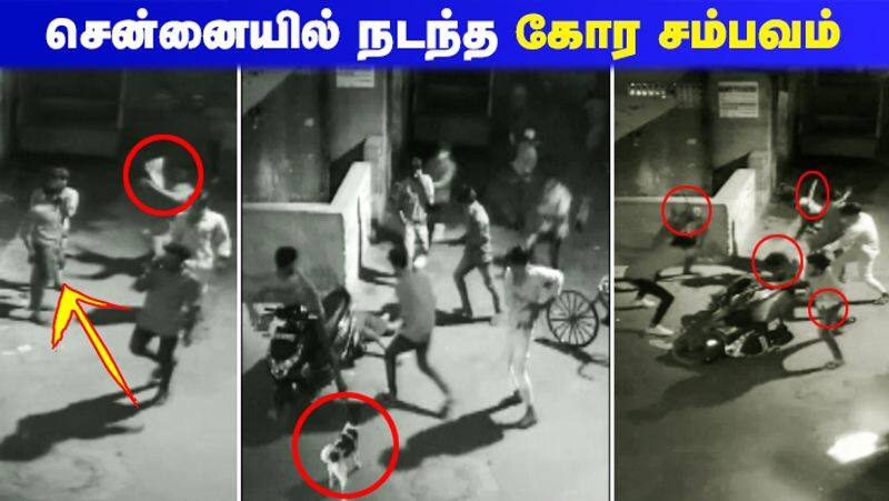 Chennai Kasimedu Murder CCTV Footage, Accused Surrendered Video