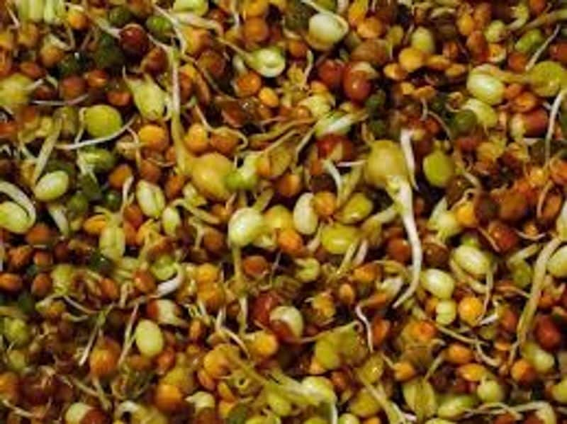 Health benefits of sprouting: Why you must have them regularly - bsb