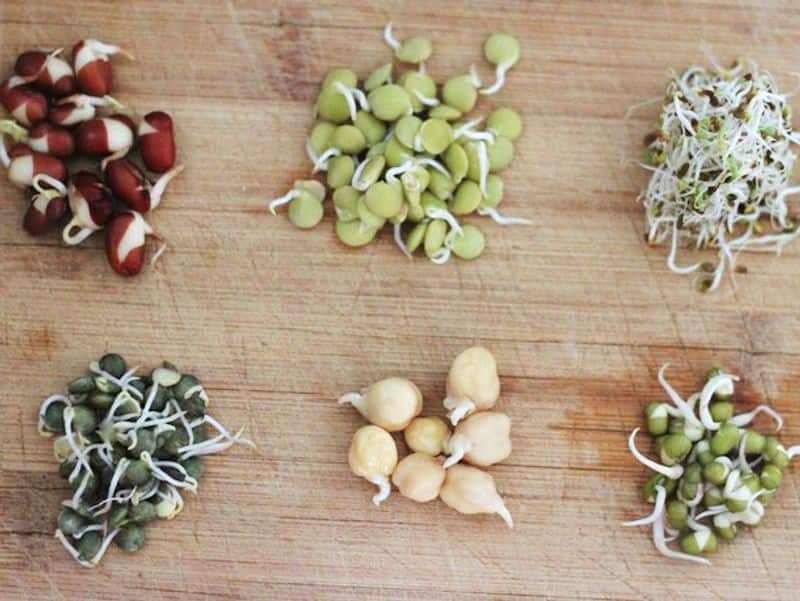 delicious ways to Eat Sprouts