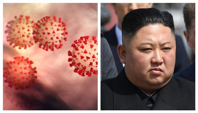 north korea official coronavirus count Zero