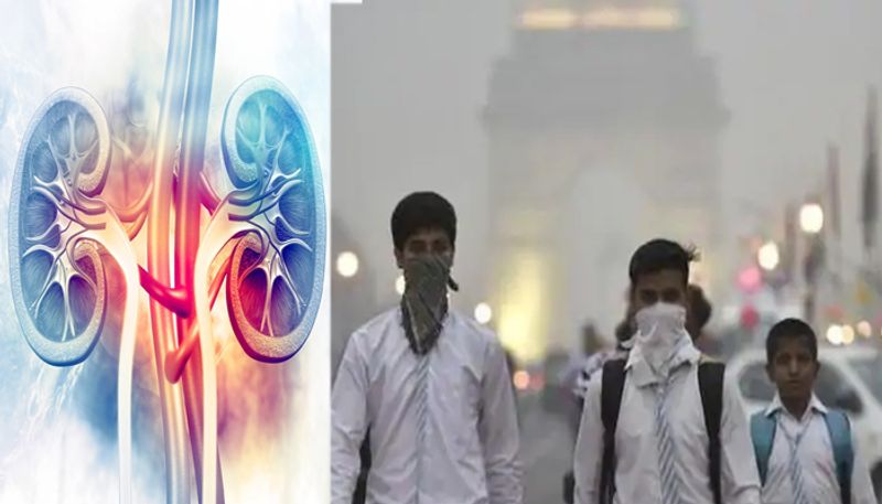 Delhi breathes poison! Could air pollution be silent contributor to chronic kidney disease? What experts say shk