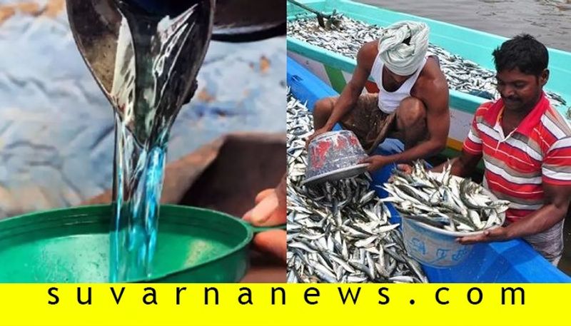 Kerosene quantity to fishermen to be increased