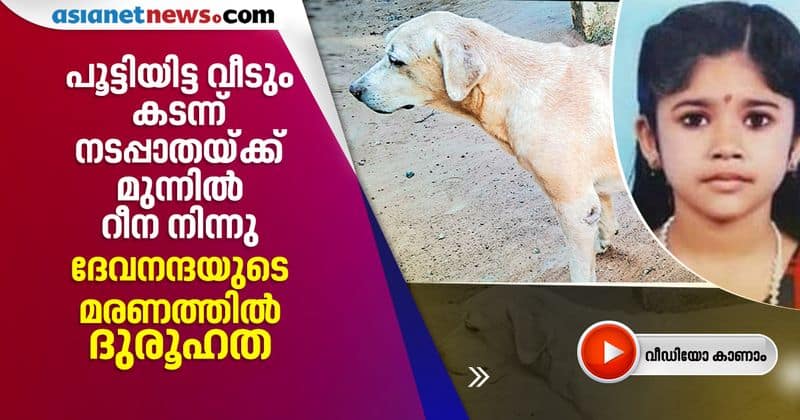 devananda death dog reena investigations