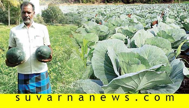 Farmer from chitradurga profits from watermelon and muskmelon