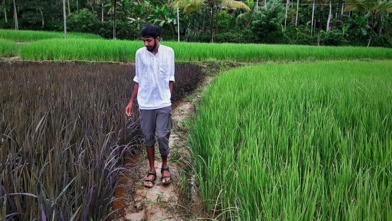 success story of sooraj from wayanadu who loves farming