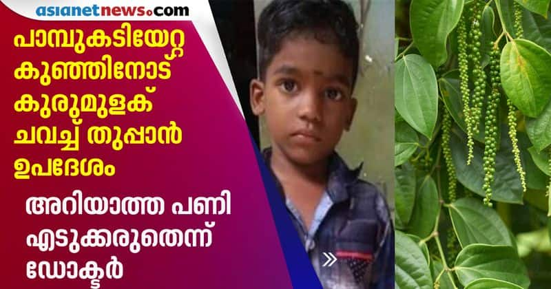 criticism on naturopathy for snake bite death of kid in kollam