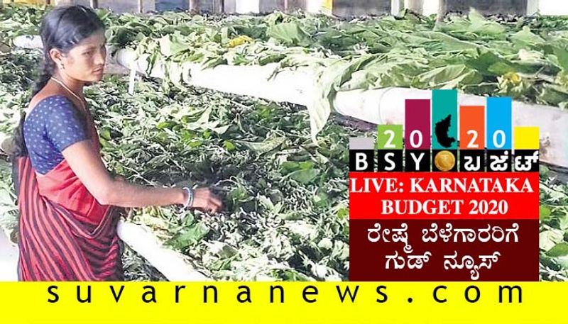 Karnataka Budget 2020 Silk Processing Unit Gift To Ramanagara