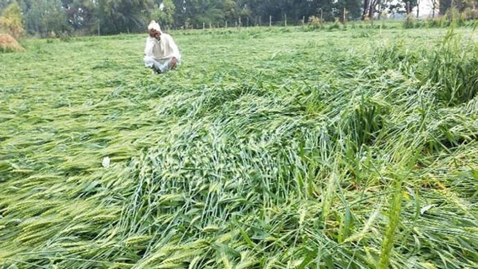 मौसम ने बरपाया अन्नदाताओं पर कहर, नष्ट हुईं फसलें; सीएम योगी ने दिया मदद का आश्वासन