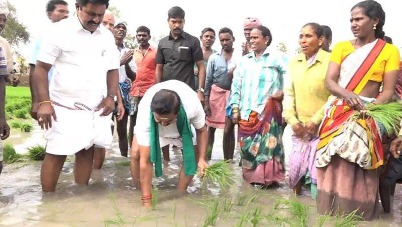 Chief Minister Edappadi Palanichamy has proved that a farmer born in a village can rule the country ..! Minister Velumani