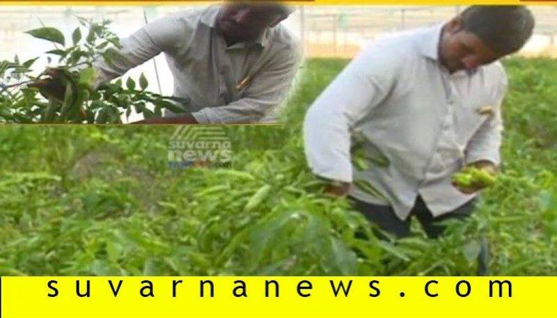 Raichur guy left BE job turn as farmer and become Millionaire