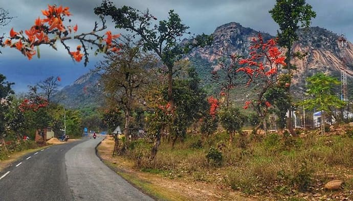 রাঙামাটির দেশের মেয়ে কলকাতার গায়ে আবির মাখিয়ে দিয়ে বলল, "আবার এসো কিন্তু"