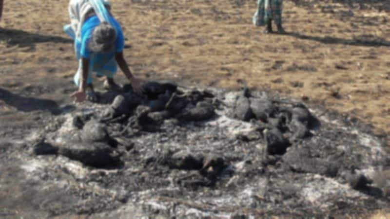 25 goats died in fire accident