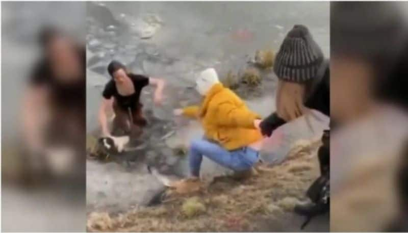 women risks her life to rescue dog from icy pond in viral