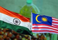 Unable to sustain losses due to Indias palm oil import curbs Malaysia hopes to rectify its relations