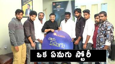పోయే ఏనుగు పో : ఇందులో కూడా హీరో అదే...