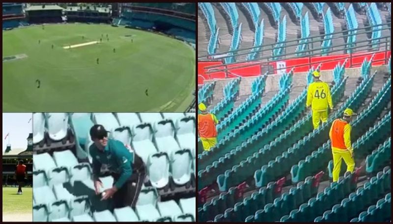 Fielders walks into  an empty stand to find ball during Australia vs new zealand odi