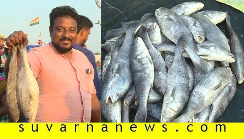 Corona fish found in Mangalore port