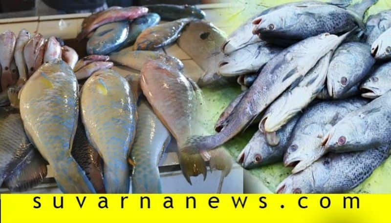 Mangaluru fishermen with joy Corona fish season