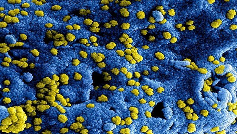 Coronavirus: Iran releases 85,000 prisoners over deadly virus outbreak