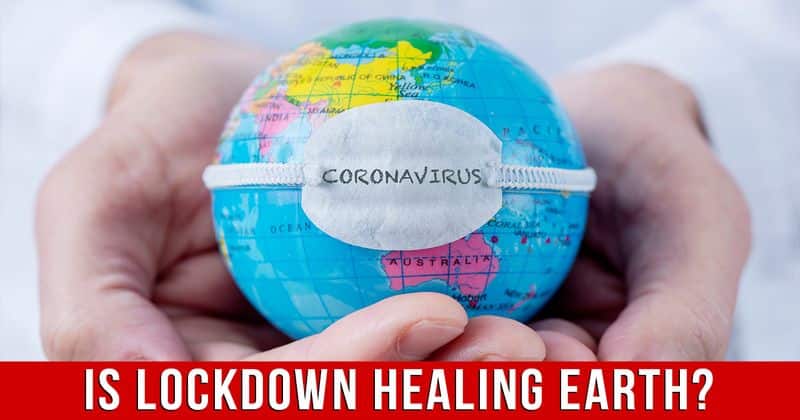 Is The Coronavirus Lockdown Healing Planet Earth?