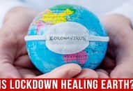 Is The Coronavirus Lockdown Healing Planet Earth?