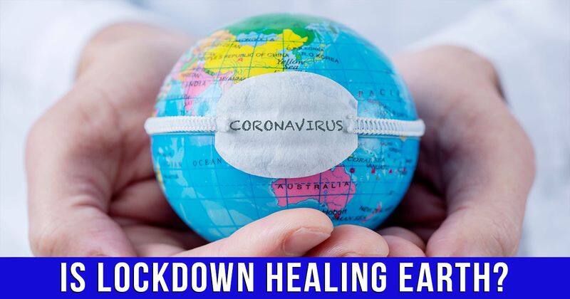 Coronavirus pandemic: Is the lockdown healing planet Earth?