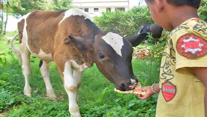 रोज करें रोटी का ये आसान उपाय, दूर हो सकता है बुरे से बुरा समय और किस्मत देने लगेगी साथ