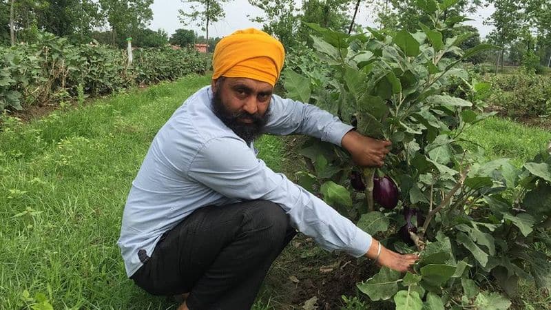 life of Karnail Singh a farmer from Bassi Ghulam Hussain