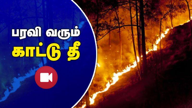 Salem Namamalai Fire Video