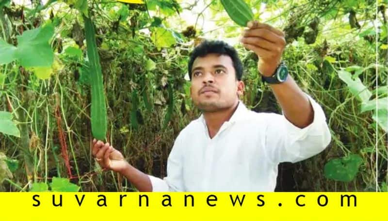 Uttara Karnataka It Graduate Subash agriculture tips