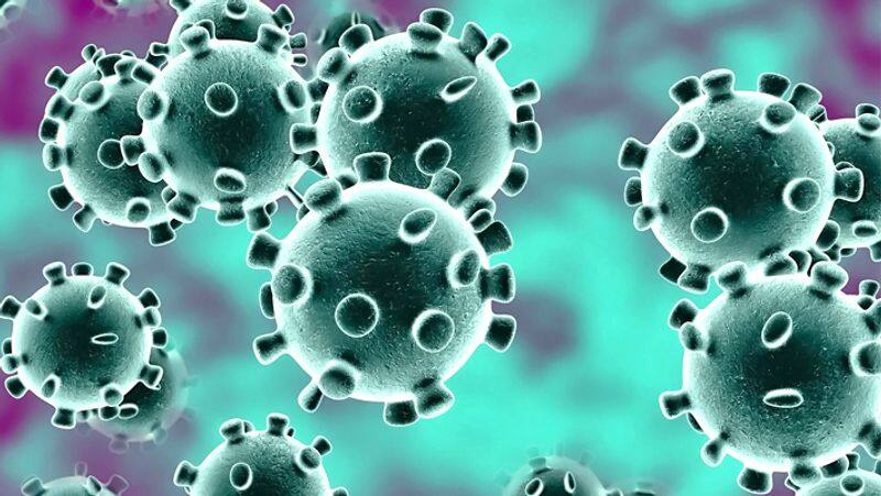 Coronavirus: First corona positive case in Guntur district