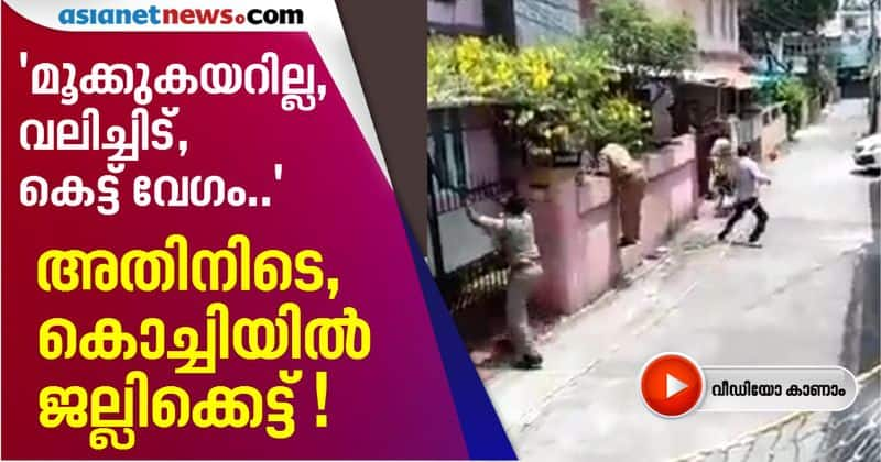 bull runs amok in kaloor