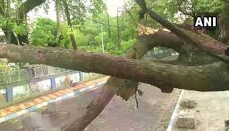 West Bengal youth set up tent on trees to evict corona Viral Photos .. !!