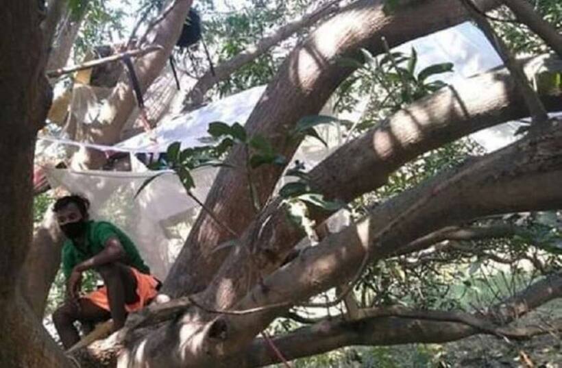 जानें क्यों पश्चिम बंगाल में पेड़ों में रहने को मजबूर हैं प्रवासी