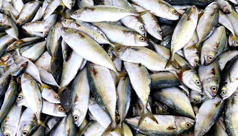 people rush to buy fish in uttarakannada midst of lockdown