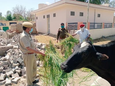 कोरोना वरियर्सः सिर्फ इंसानों का ही नहीं, जानवरों की भी रक्षक बनी पुलिस, तस्वीरें जीत लेंगी आपका दिल