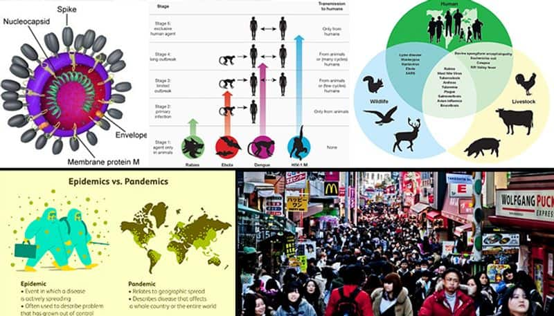 Coronavirus: Population explosion, human animal interface associated with pandemics