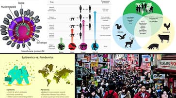 Coronavirus: Population explosion, human animal interface associated with pandemics