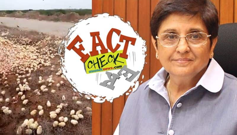 eggs which were thrown as waste now hatched claim Kiran Bedi