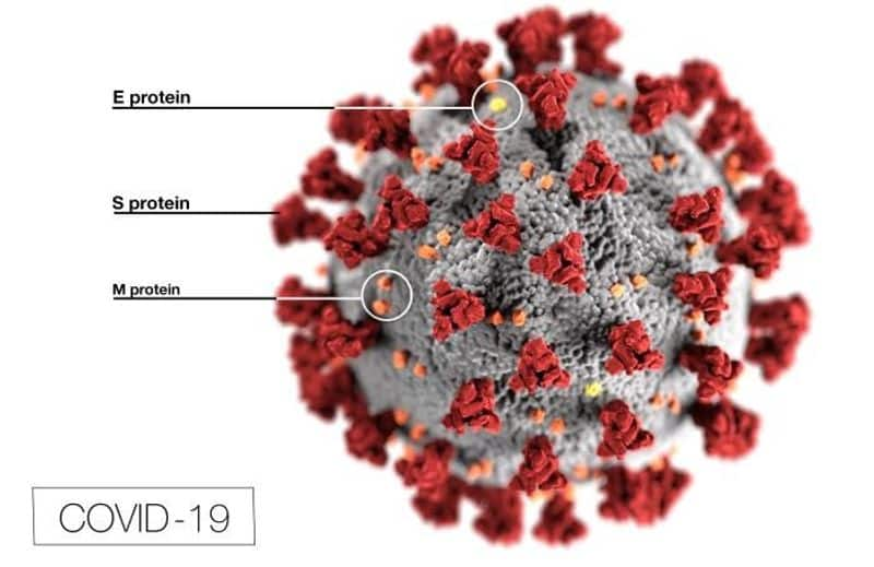 Coronavirus : Omicron less likely to cause long COVID than Delta variant: Lancet study