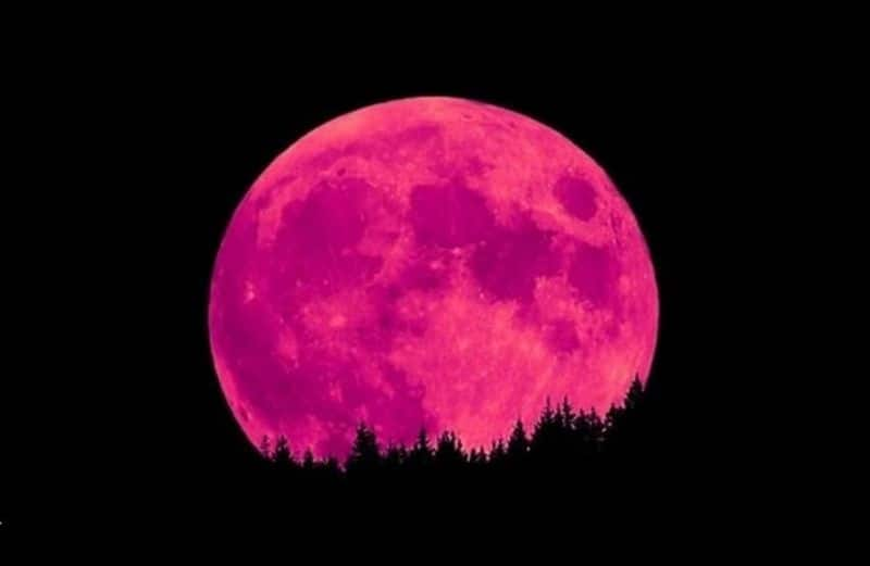 April Super Pink moon to be biggest full moon of 2020