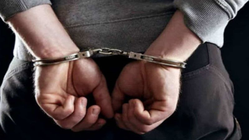 indian origin arrested in  UK  for molested girl