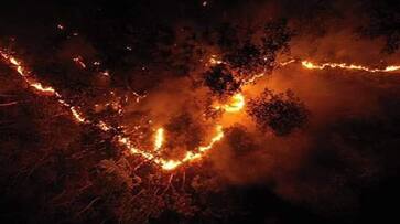 Uttarakhand's violent forest fires: The burning issue and threat to nature RTM