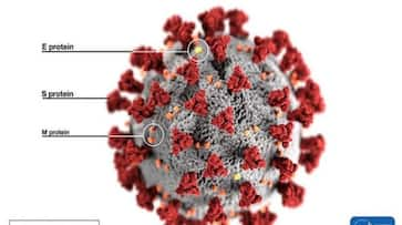 Coronavirus pandemic: India records 773 new cases & 32 deaths in just 24 hours