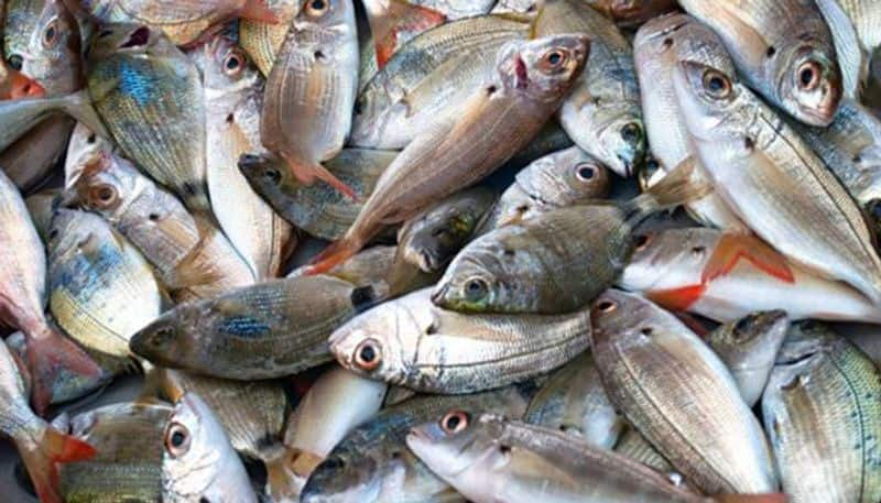 People rush to get lake fish in chitradurga