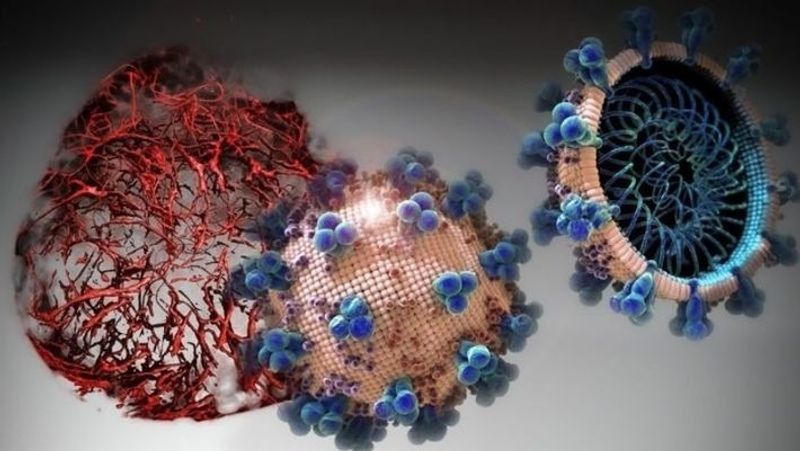 Coronavirus: First Covid-19 case at Narsaraopet