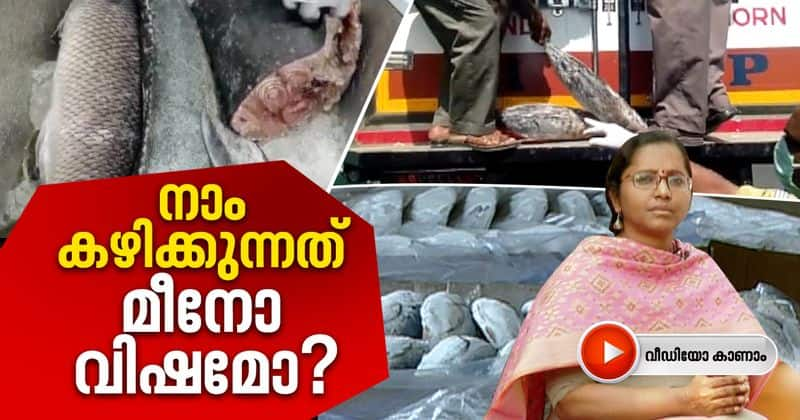 kerala health and food department seized adulterated fish in borders