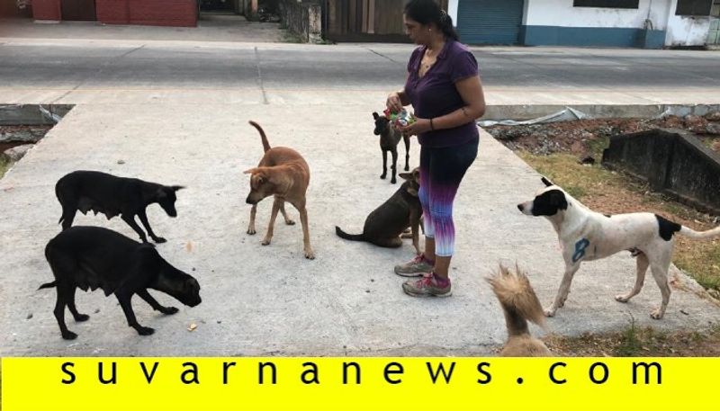 Group of people in Udupi provides food to stray dogs