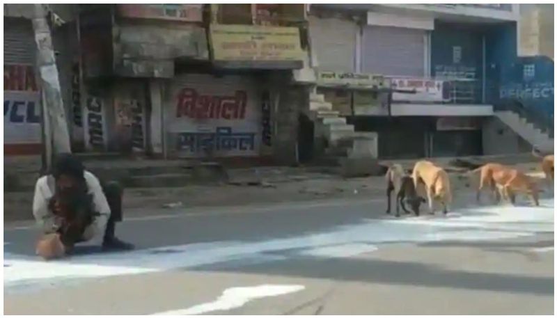 man with stray dog to collect milk